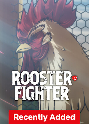 Rooster Fighter poster